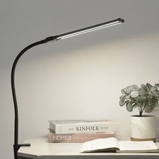 Double Head LED Desk Lamp