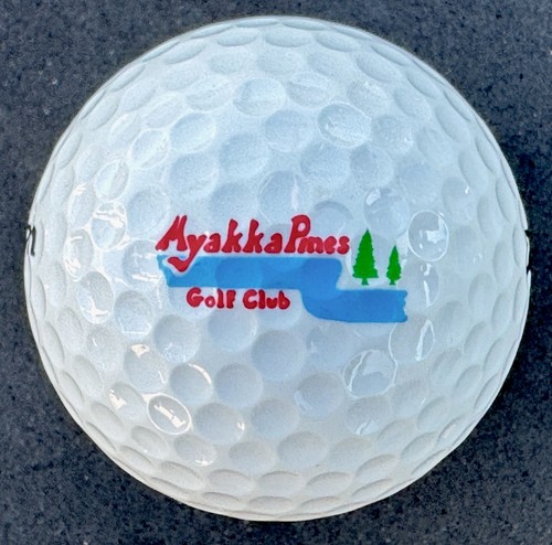 Myakka pies golf club - myakka,
