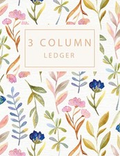 3 Column Ledger Record Book
