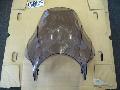 Triumph bonneville t100 screen - bonneville,