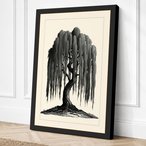 Weeping willow botanical - weeping,
