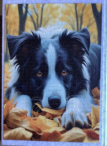 1000 piece jigsaw - piece, of