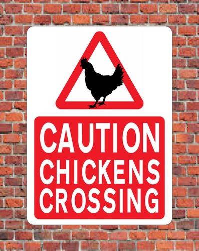 Caution chickens crossing - chickens,