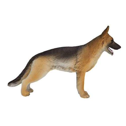 Mojo alsatian german shepherd - mojo,