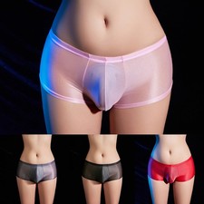 Mens Glossy Oily Briefs