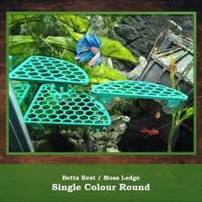 Aquarium Shelf Plant Ledge - Moss Growing, Shrimp Rest, Betta Hammock - Round