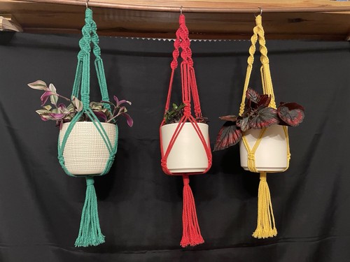 Macrame plant hanger garden - plant,