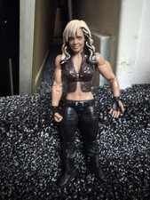 Mattel WWE WWF Kaitlyn Best of
