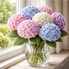 DK Knitting Pattern Only