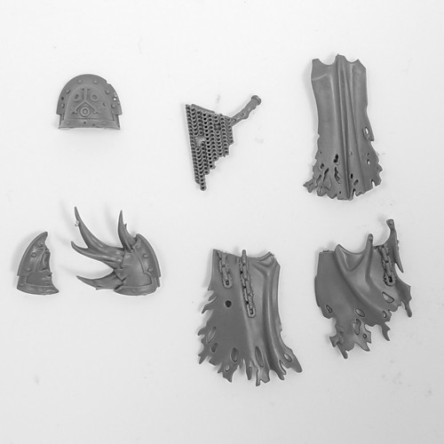 Chaos space marine death guard - marine,