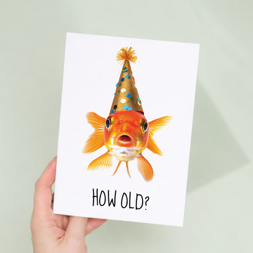 Birthday card funny gold fish - birthday,