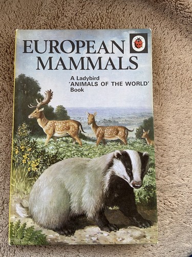 Vintage ladybird book european - vintage,