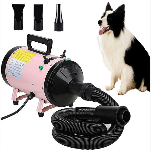 Pet dog grooming hair - pet,