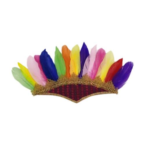Feather headdress indian hat - feather,