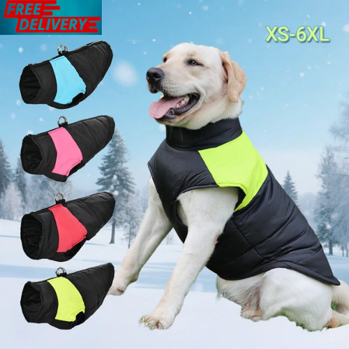 Winter pet dog warm - dog, coat