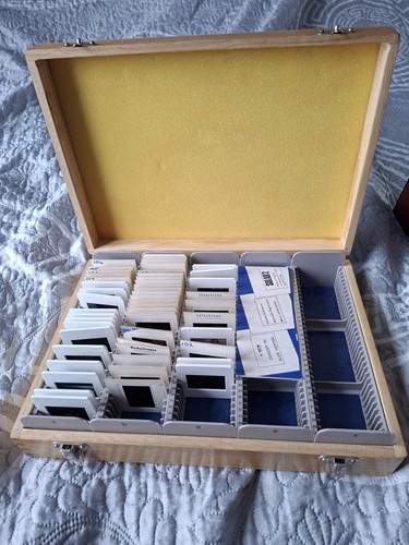Vintage slides with wooden - with,