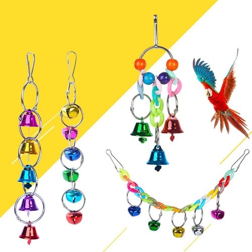 Colorful pet bird - colorful,