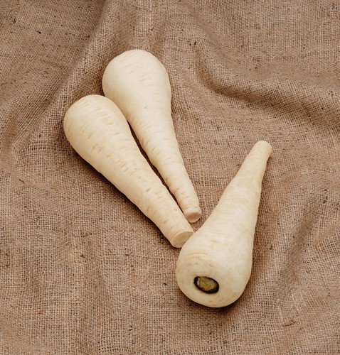 Parsnip gladiator 350 - ,