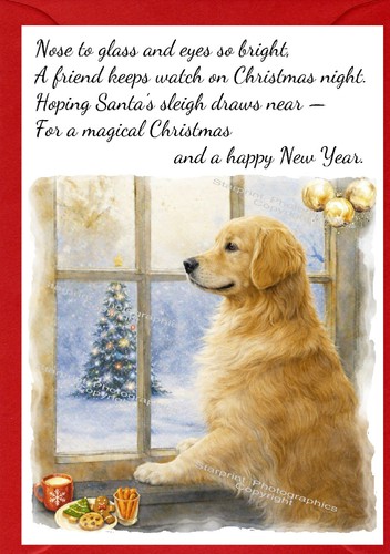 Golden retriever dog 4 x - retriever,