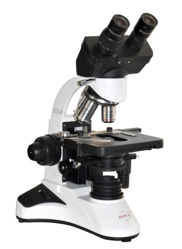 Medical biology phase - medical,