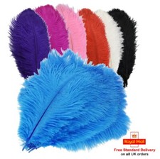 Solid colour ostrich feathers - colour,