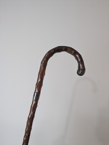 Antique walking cane - antique, silver
