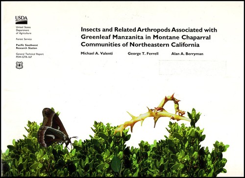 Insects and related arthropods - related,