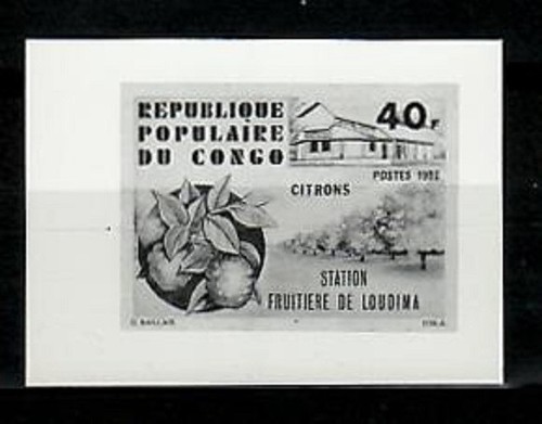 Photo essay congo - photo, sc570