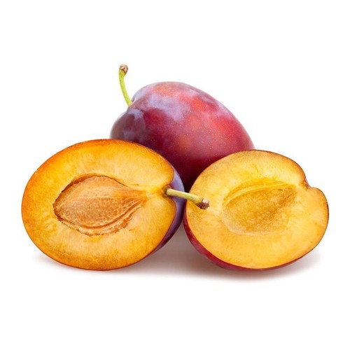 Victoria plum seeds grow - victoria,