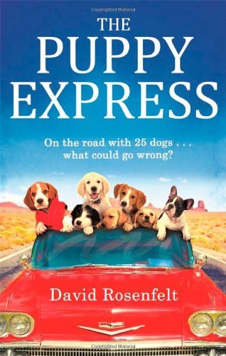 The puppy express - puppy, road