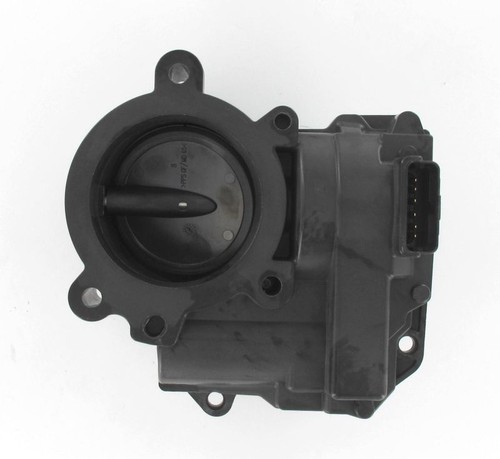 Intermotor throttle body - throttle, for