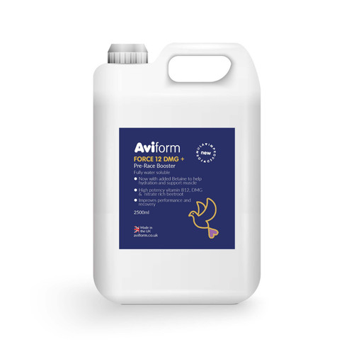 Aviform force dmg - 12,