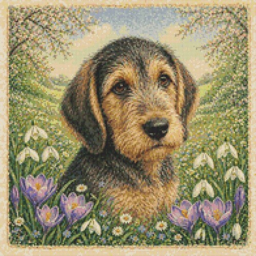 Otterhound puppy dog - otterhound, in