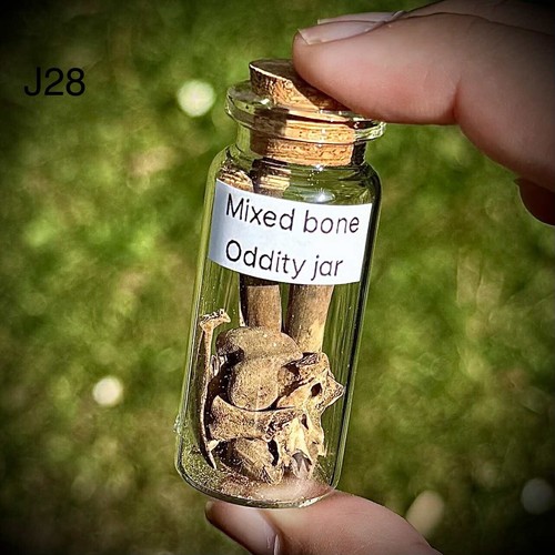 Old mixed bones - old,