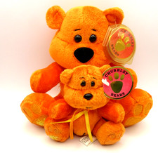 CHUBBLEY BEARS - SUNNY WITH BABY BEAR - RETIRED WITH  TAG - MINT CONDITION