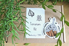Mini Terrarium Kit, Open