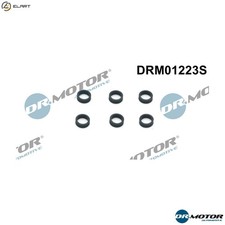 SEAL RING INJECTOR DRM01223S