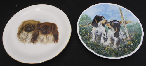 Unmarked king charles - king, spaniel