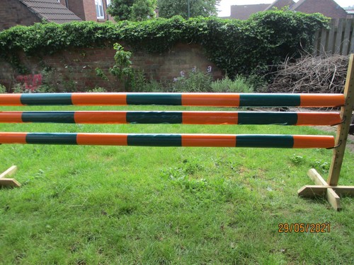 Equestrian horse jump pole - horse,