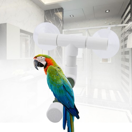 Dbird perches budgie - a-dbird,