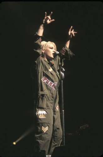 Singer alecia moore - singer,