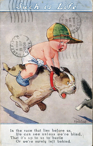 Baby riding dog - , life