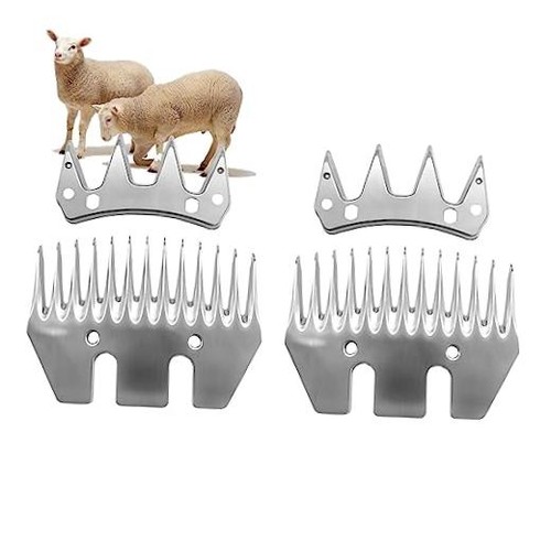 Tooth sheep grooming - sheep,