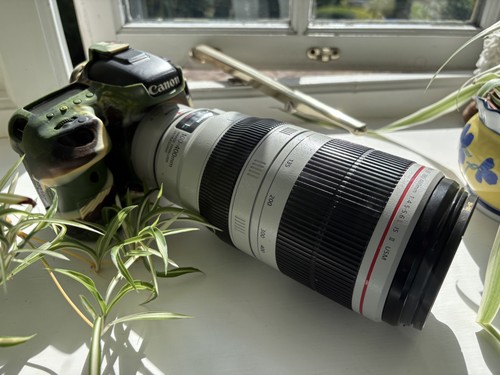 Canon eos with - eos, ii