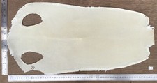 Genuine Stingray Shagreen Skin