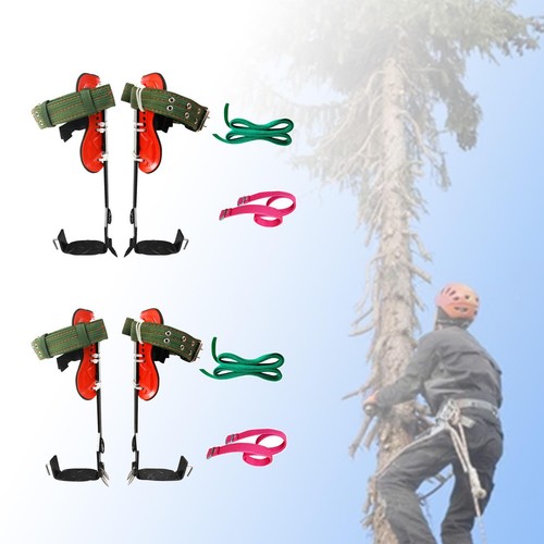 Tree climbing spikes and - climbing,