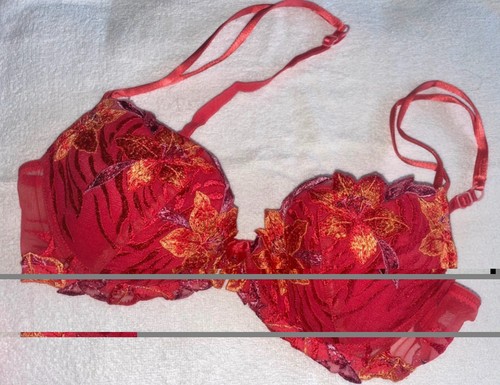Lise charmel bra - charmel,
