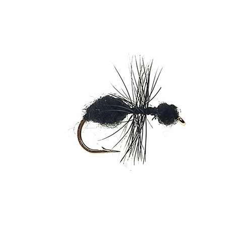 Black ant dry - 3,