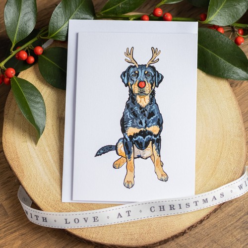 Rottweiler christmas card - rottweiler,