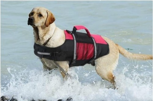 Dog life jacket - jacket,, bouyancy